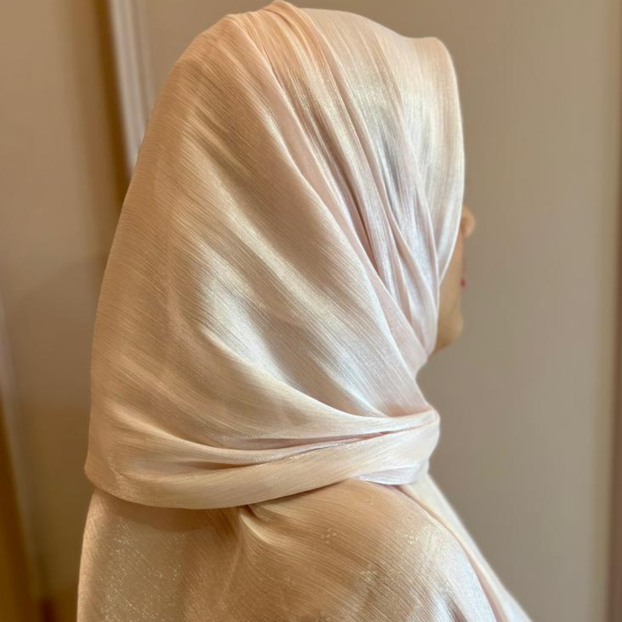 Premium Organza Hijab